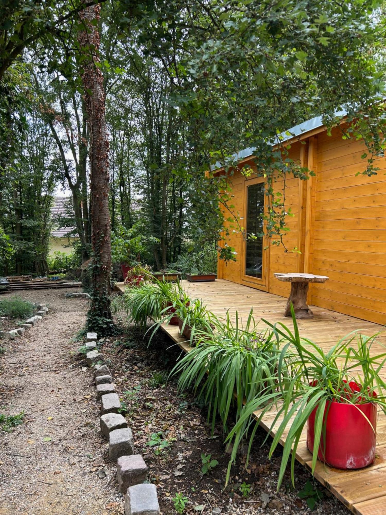 Gites Du Bois Des Perruches Saint-Vincent-des-Bois Exterior foto