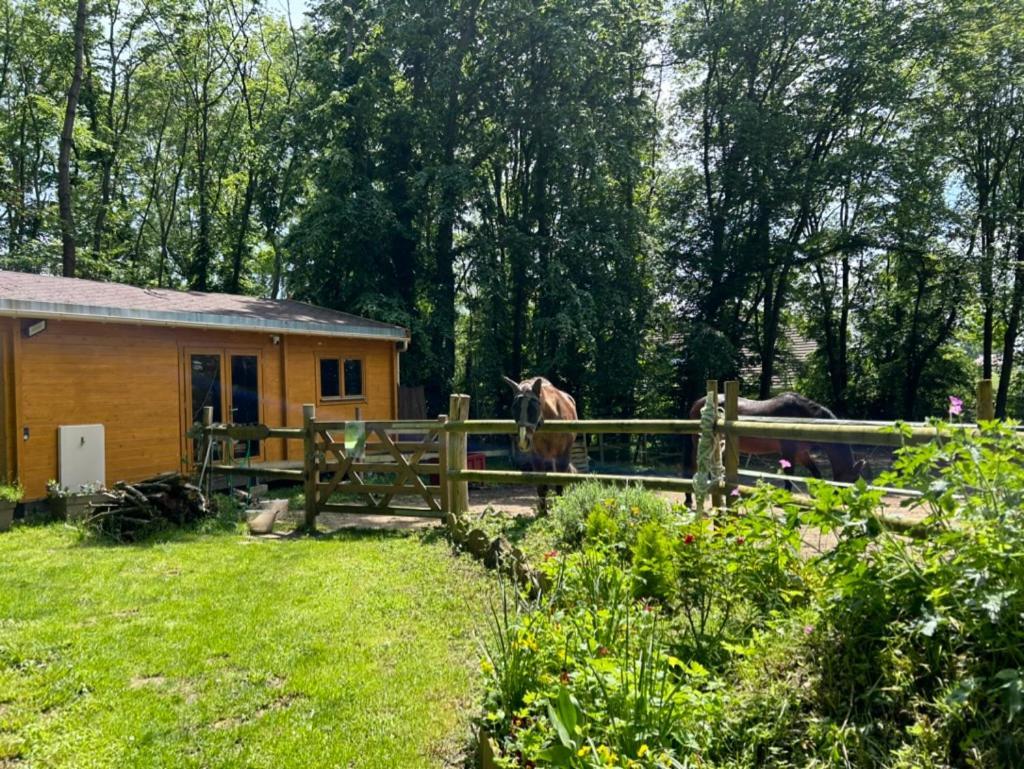 Gites Du Bois Des Perruches Saint-Vincent-des-Bois Exterior foto