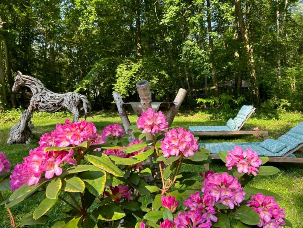 Gites Du Bois Des Perruches Saint-Vincent-des-Bois Exterior foto