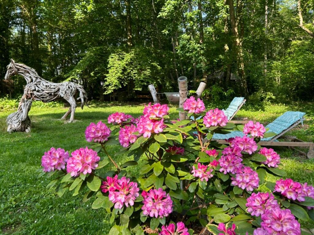 Gites Du Bois Des Perruches Saint-Vincent-des-Bois Exterior foto