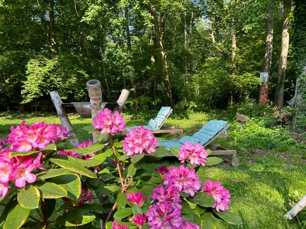 Gites Du Bois Des Perruches Saint-Vincent-des-Bois Exterior foto