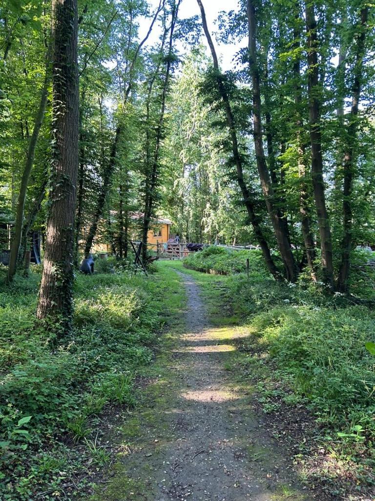 Gites Du Bois Des Perruches Saint-Vincent-des-Bois Exterior foto